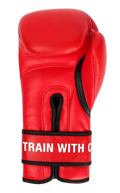 Boxing Gloves, ZEBRA, leather